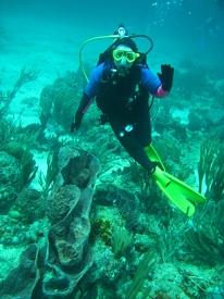 Diving in Tobago